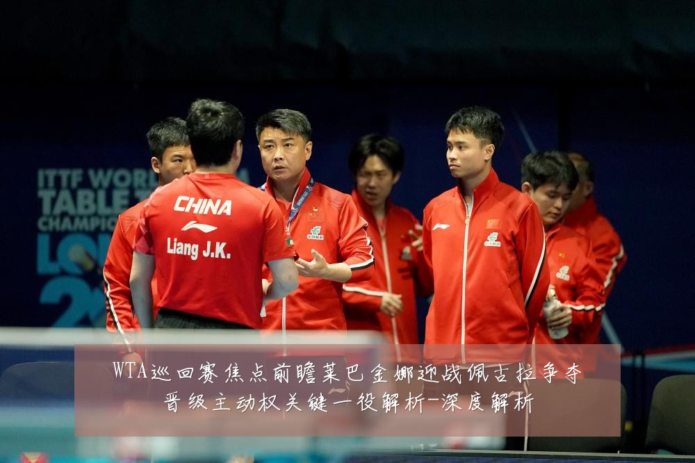 WTA巡回赛焦点前瞻莱巴金娜迎战佩古拉争夺晋级主动权关键一役解析-深度解析