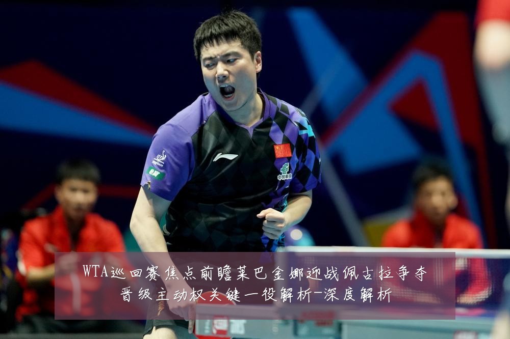 WTA巡回赛焦点前瞻莱巴金娜迎战佩古拉争夺晋级主动权关键一役解析-深度解析